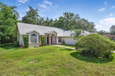 547 W Massachusetts St, Hernando, FL 34442 photo 45