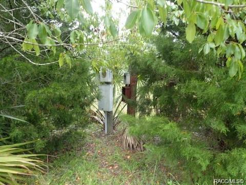 11441 N Lamar Pt, Inglis, FL 34449 photo 3