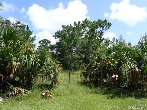 11441 N Lamar Pt, Inglis, FL 34449 photo 9