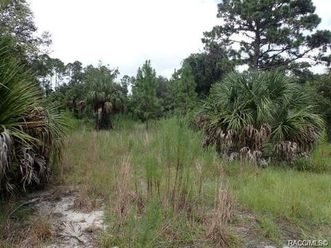 11441 N Lamar Pt, Inglis, FL 34449 photo 4