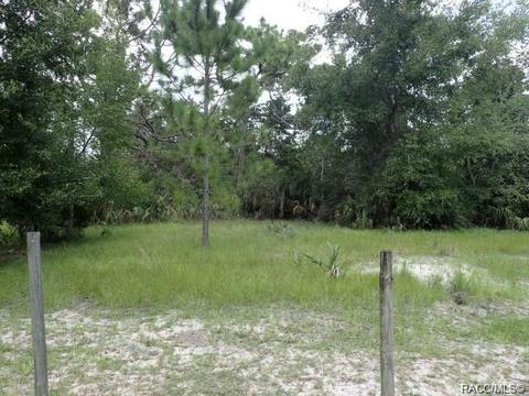 11441 N Lamar Pt, Inglis, FL 34449 photo 2