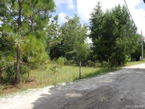 11441 N Lamar Pt, Inglis, FL 34449 photo 8