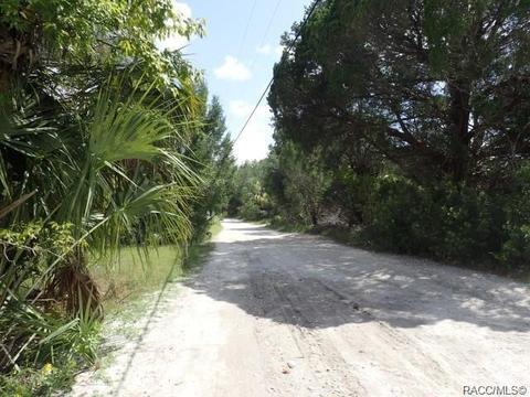 11441 N Lamar Pt, Inglis, FL 34449 photo 14