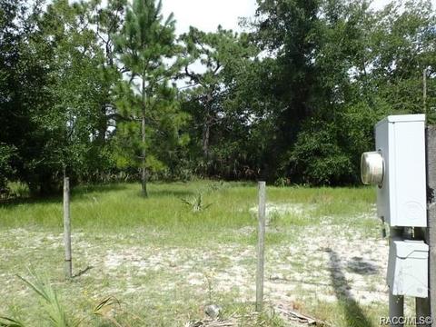 11441 N Lamar Pt, Inglis, FL 34449 photo 7