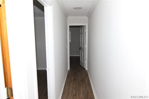 99 E Dakota Ct, Hernando, FL 34442 photo 22