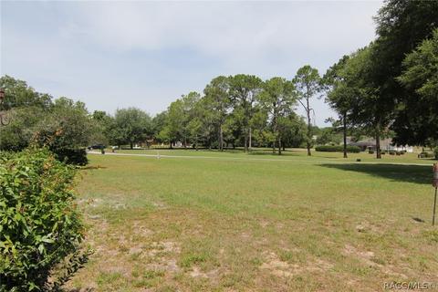 99 E Dakota Ct, Hernando, FL 34442 photo 8