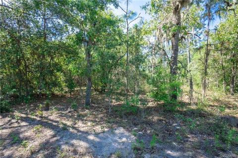5206 E Muzzle Loaders Ct, Inverness, FL 34452 photo 3