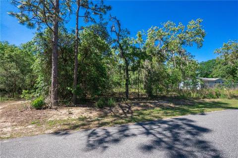 5206 E Muzzle Loaders Ct, Inverness, FL 34452 photo 5