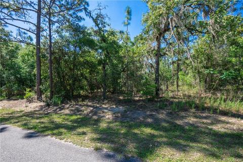 5206 E Muzzle Loaders Ct, Inverness, FL 34452 photo 4