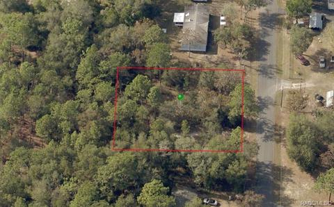 5206 E Muzzle Loaders Ct, Inverness, FL 34452 photo 7