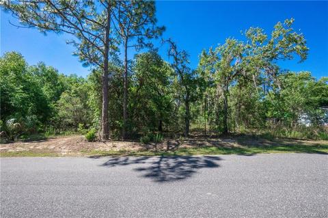 5206 E Muzzle Loaders Ct, Inverness, FL 34452 photo 1