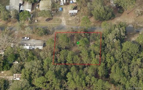 5206 E Muzzle Loaders Ct, Inverness, FL 34452 photo 6