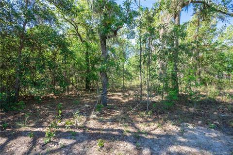 5206 E Muzzle Loaders Ct, Inverness, FL 34452 photo 2
