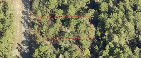 9549 N Lily Dr, Citrus Springs, FL 34434