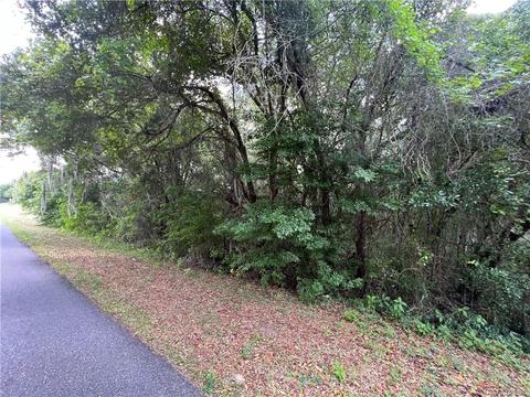 3002 N Clements Ave, Hernando, FL 34442 photo 3