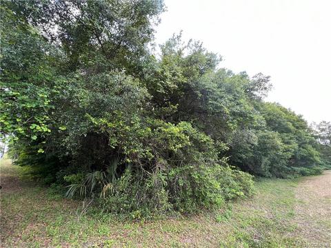 3002 N Clements Ave, Hernando, FL 34442 photo 2