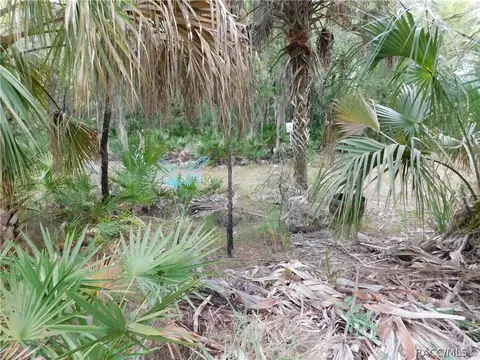 15271 W Rooster Crows Rd, Inglis, FL 34449 photo 37
