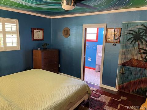 30 Palm Circle Dr, Inglis, FL 34449 photo 7