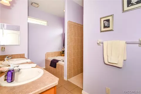 117 E Falconry Ct, Hernando, FL 34442 photo 17