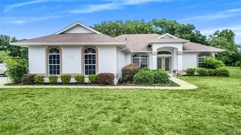 117 E Falconry Ct, Hernando, FL 34442 photo 1