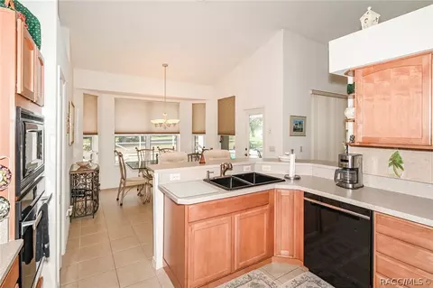 117 E Falconry Ct, Hernando, FL 34442 photo 21