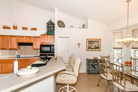 117 E Falconry Ct, Hernando, FL 34442 photo 22