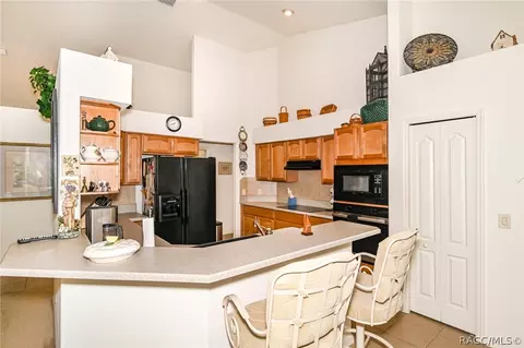 117 E Falconry Ct, Hernando, FL 34442 photo 5