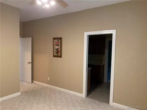 399 W Britain St, Hernando, FL 34442 photo 25
