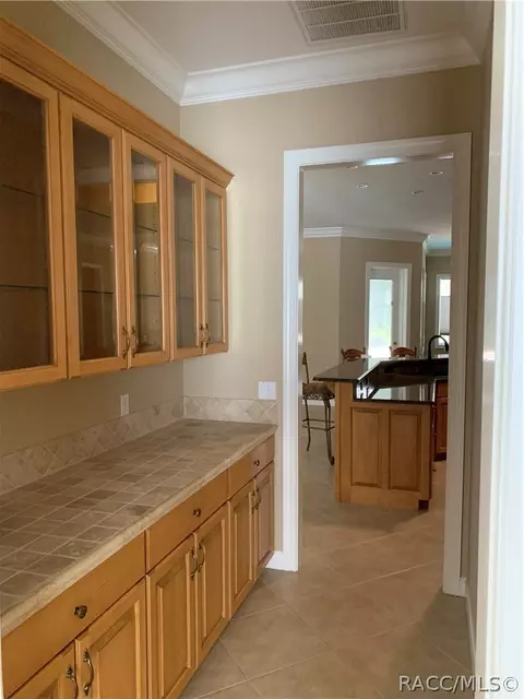 399 W Britain St, Hernando, FL 34442 photo 7