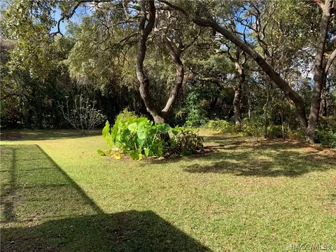 399 W Britain St, Hernando, FL 34442 photo 33
