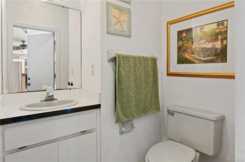 1485 N Hambletonian Dr, Hernando, FL 34442 photo 41