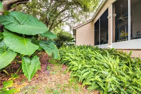 565 W Doerr Path, Hernando, FL 34442 photo 37