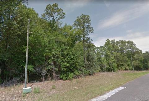10596 N Academy Dr, Citrus Springs, FL 34434