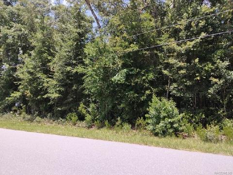 771 W Keller St, Hernando, FL 34442 photo 2