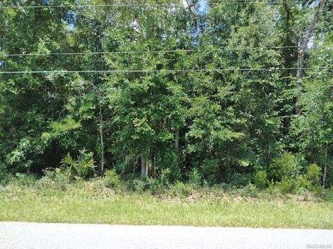771 W Keller St, Hernando, FL 34442 photo 4