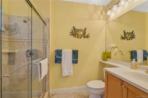 3937 N Grayhawk Loop, Lecanto, FL 34461 photo 39