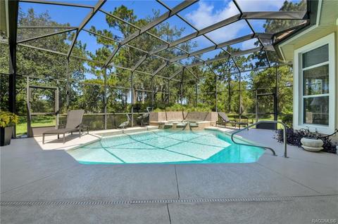 3937 N Grayhawk Loop, Lecanto, FL 34461 photo 47