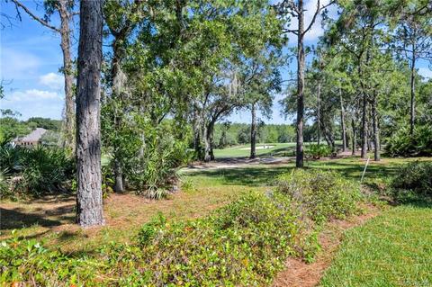 3937 N Grayhawk Loop, Lecanto, FL 34461 photo 53