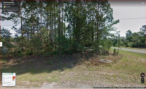 8229 N Krouse Way, Citrus Springs, FL 34434
