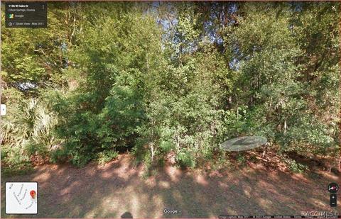 1135 W Cairo Dr, Citrus Springs, FL 34434