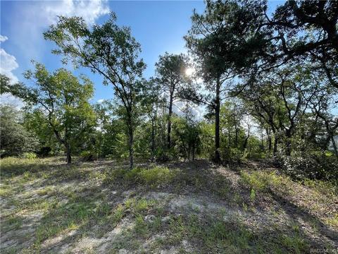 28 Lupine, Homosassa, FL 34446
