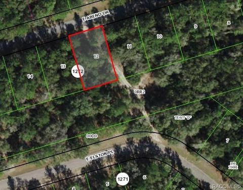 929 E Abend Dr, Citrus Springs, FL 34434