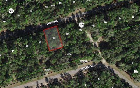 937 E Abend Dr, Citrus Springs, FL 34434