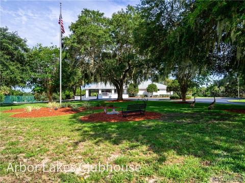 3659 E Ibis Cove Ct, Hernando, FL 34442 photo 43