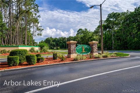 3659 E Ibis Cove Ct, Hernando, FL 34442 photo 41