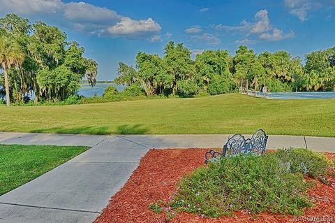 3659 E Ibis Cove Ct, Hernando, FL 34442 photo 59