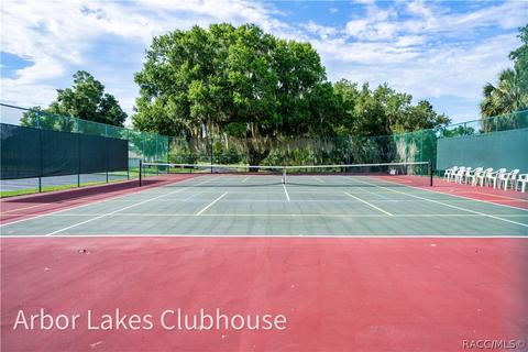 3659 E Ibis Cove Ct, Hernando, FL 34442 photo 56