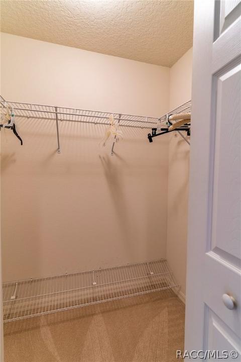 3659 E Ibis Cove Ct, Hernando, FL 34442 photo 31