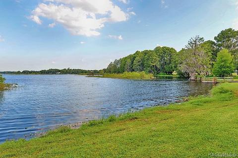 3659 E Ibis Cove Ct, Hernando, FL 34442 photo 60