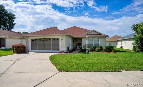 3659 E Ibis Cove Ct, Hernando, FL 34442 photo 1